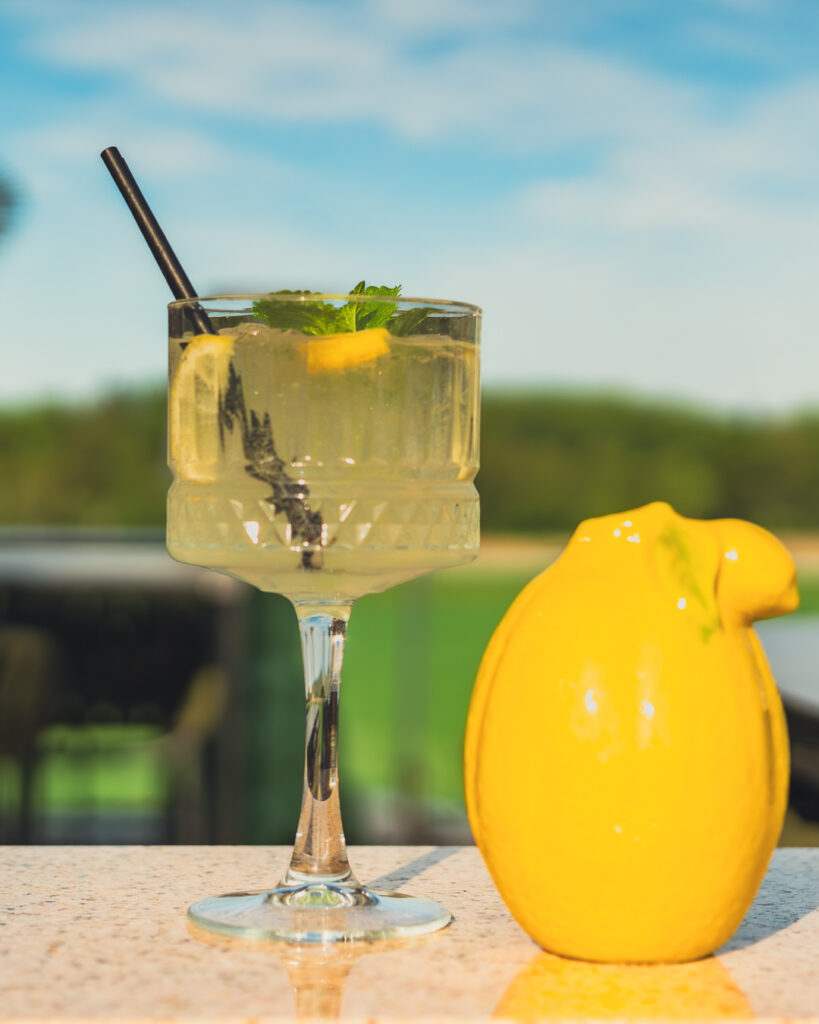 Leo Kalsdorf Foto Cocktail Glas mit inhalt und zitronen